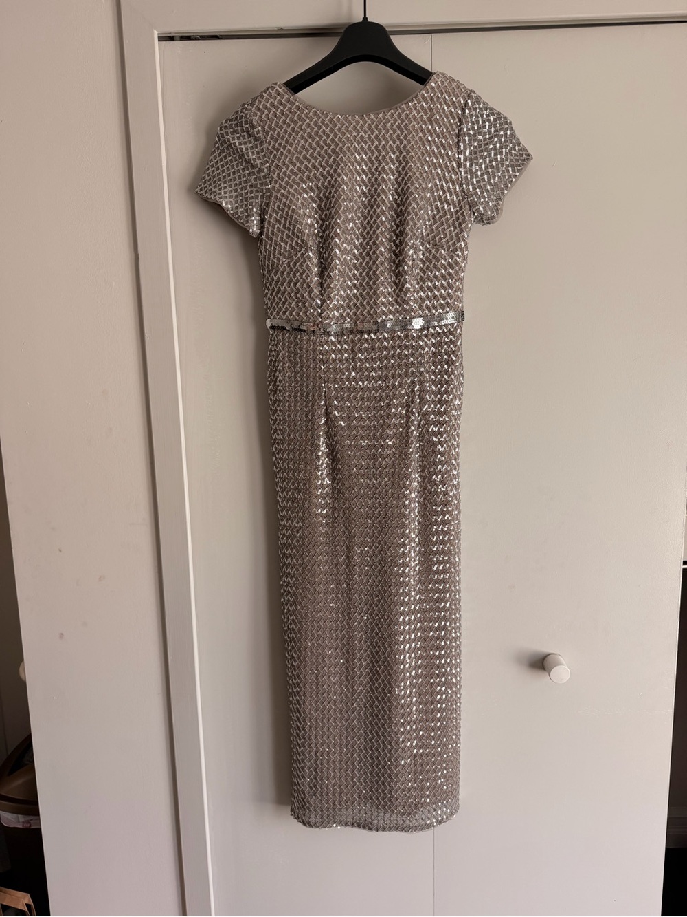 Adrianna Papell Silver Sequin Maxi Dress